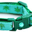 Marijuana Leaves Breakaway Cat Collar