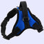 Adjustable Dog Chest Harness With Optional Accessories
