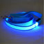 Glowing Pet Leash - Illuminated Led Dog Leash