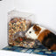 Transparent Plastic Hamster Feeder Food Box - Innovative Fixable Design