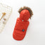 Cozy Canine Cotton Hooded Coat
