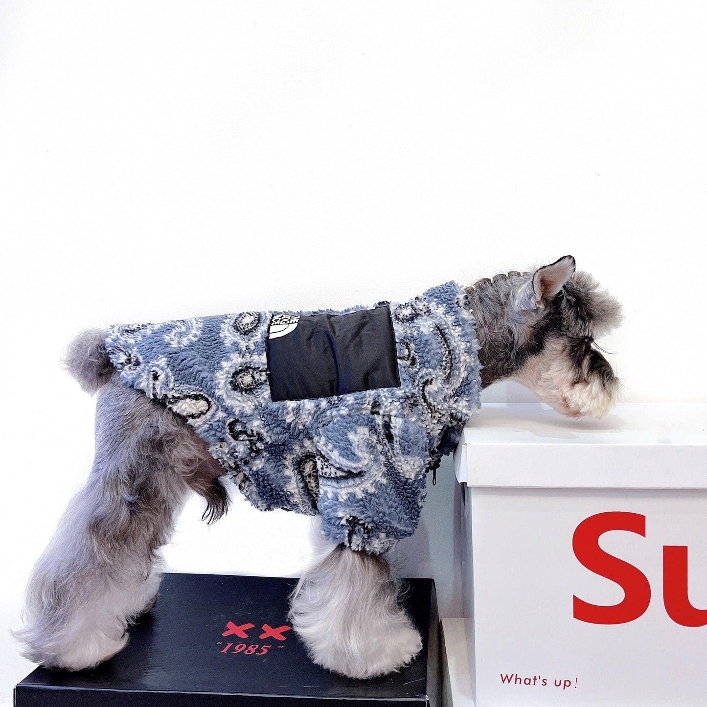 Cozy Velvet Apparel For Feline And Canine Companions