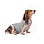 Serenity Pet Vest: Calming Comfort For Cats And Dogs