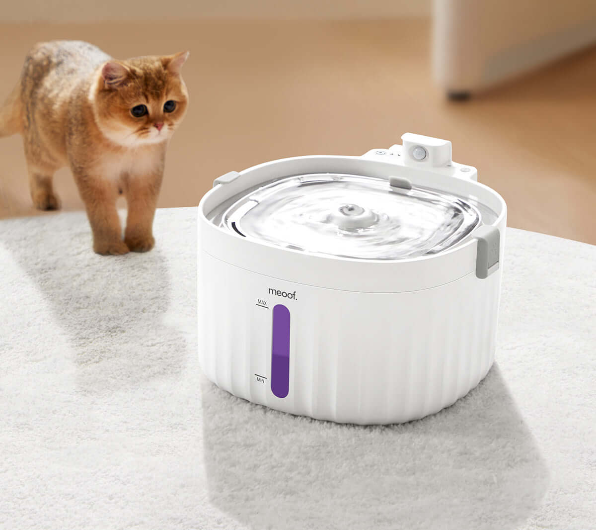 Smart Pet Water Fountain