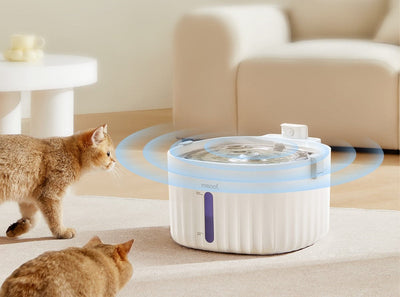 Smart Pet Water Fountain