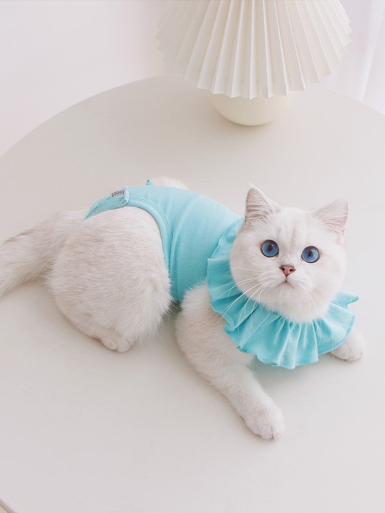 Sweet Cat Recovery Suit